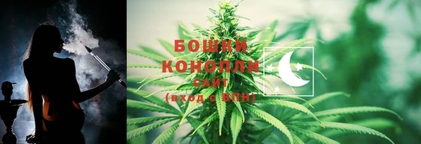 шишки Михайловка
